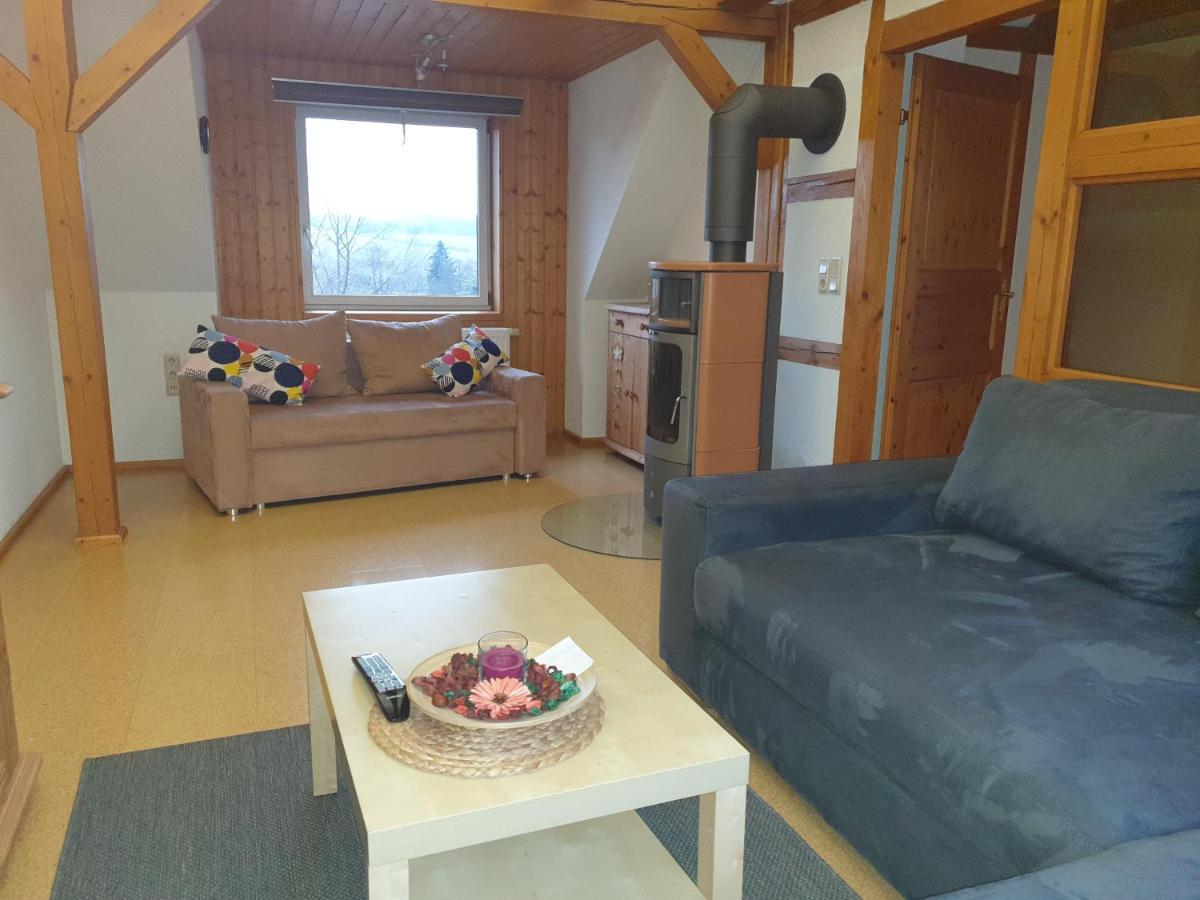 Die Gemuetliche Ferienwohnung Fuer Jedermann! Oppach Екстер'єр фото