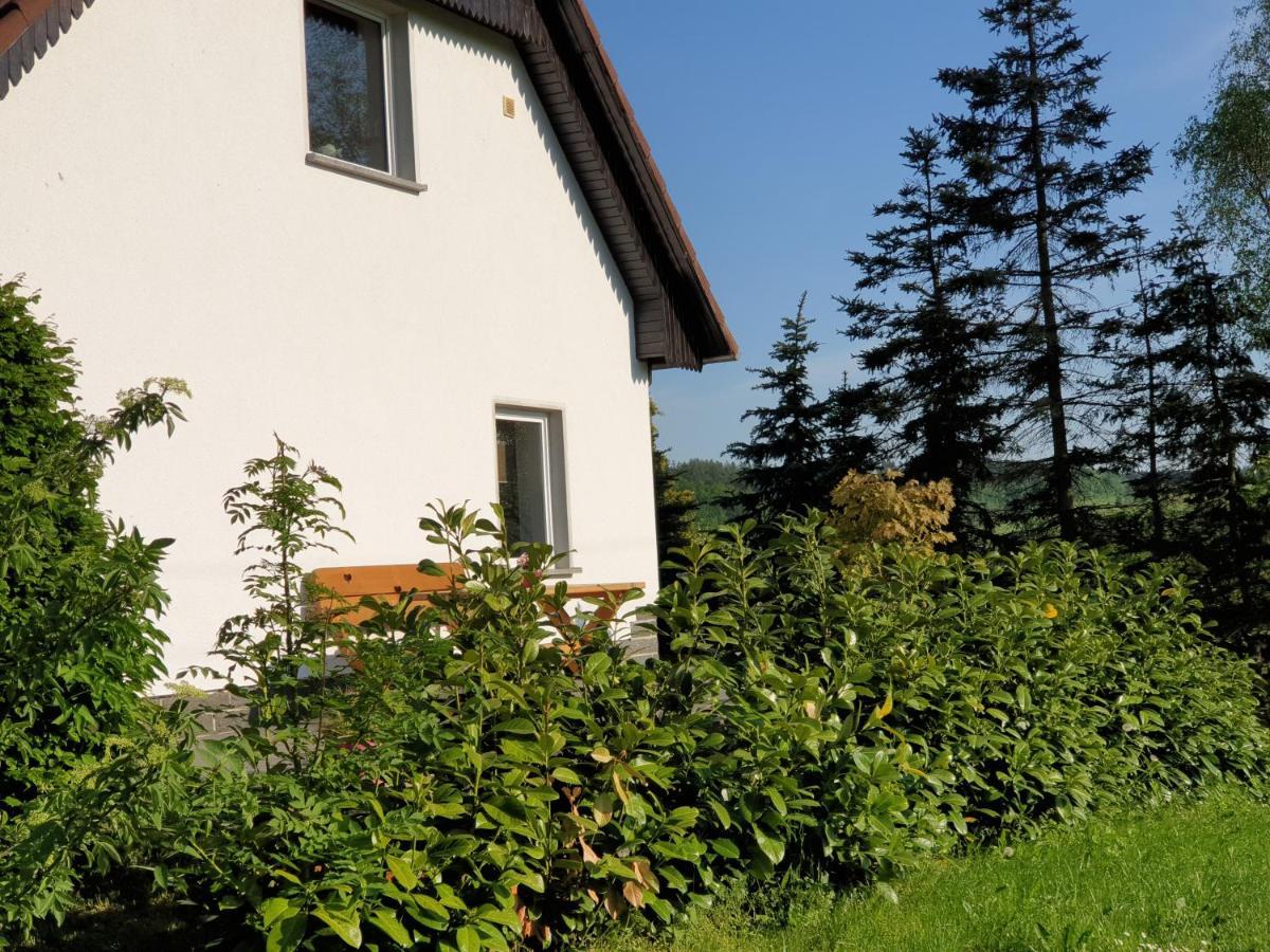 Die Gemuetliche Ferienwohnung Fuer Jedermann! Oppach Екстер'єр фото