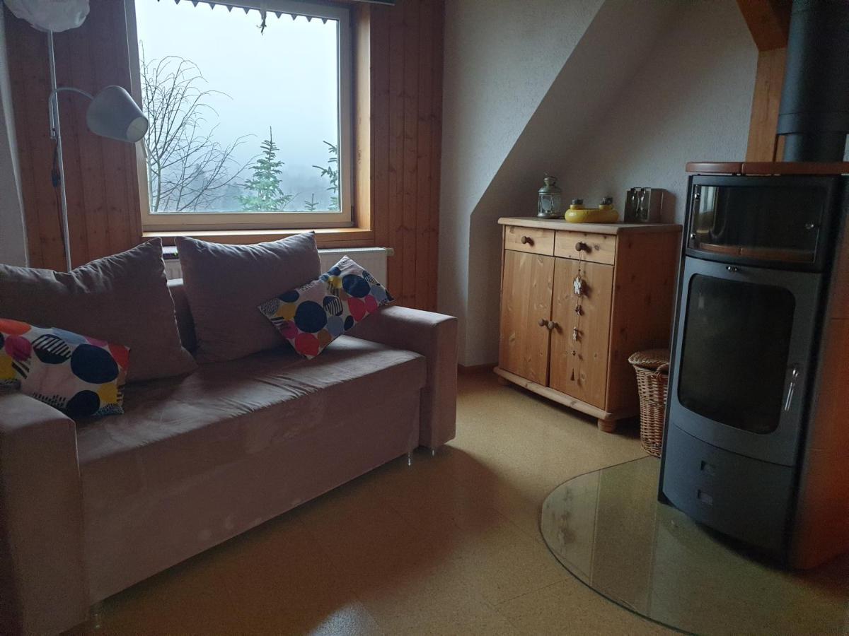 Die Gemuetliche Ferienwohnung Fuer Jedermann! Oppach Екстер'єр фото