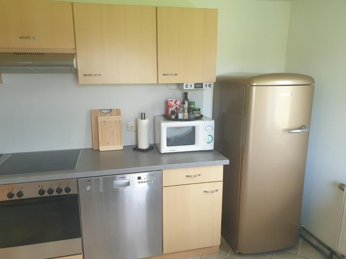 Die Gemuetliche Ferienwohnung Fuer Jedermann! Oppach Екстер'єр фото